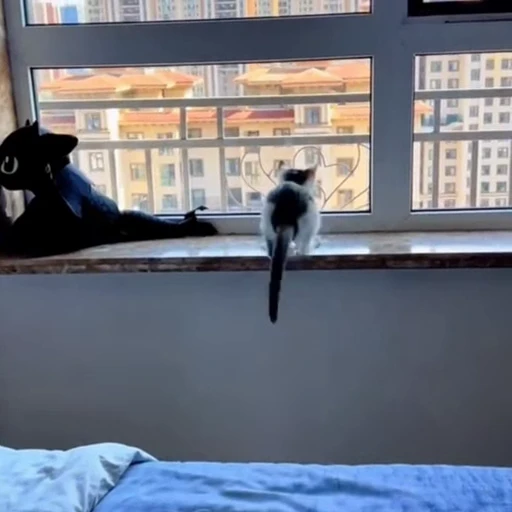 🐈 Стикер «Животные» для Telegram