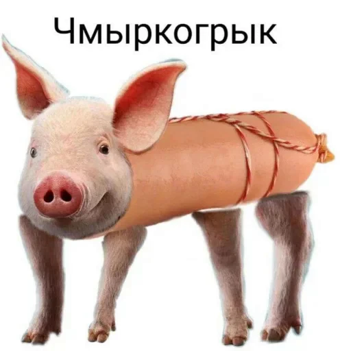 Стикерпак Жиза для Telegram