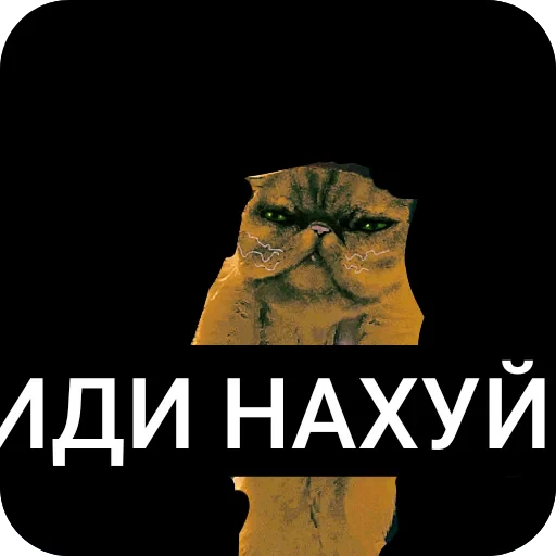 🐱 Стикер «Жиза» для Telegram