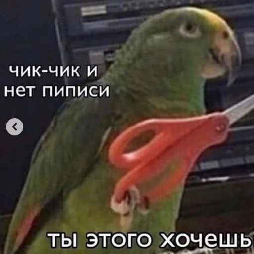 😁 Стикер «Жизяка» для Telegram