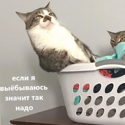 😒 Стикер «Жизяка» для Telegram