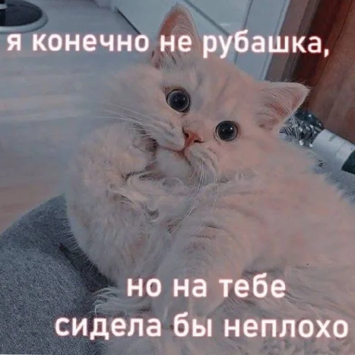 😏 Стикер «Жизяка» для Telegram