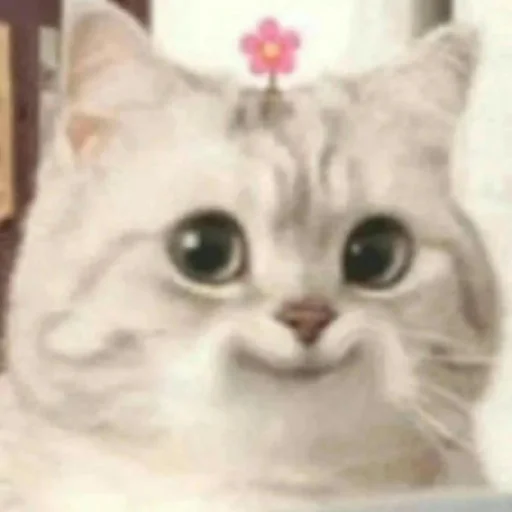 🙂 Стикер «Жизяка» для Telegram
