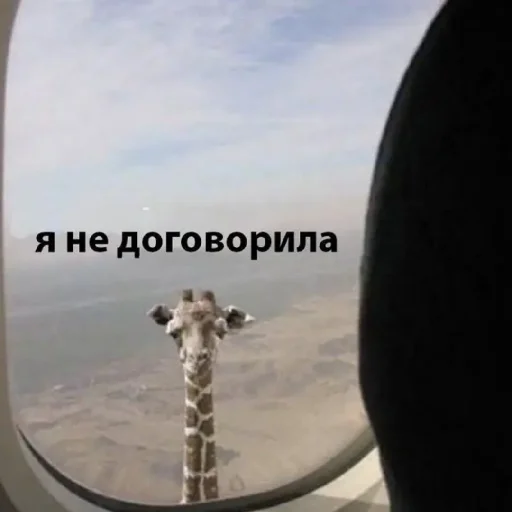 Стикерпак Жизяка для Telegram