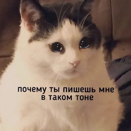 😢 Стикер «Жизяка» для Telegram