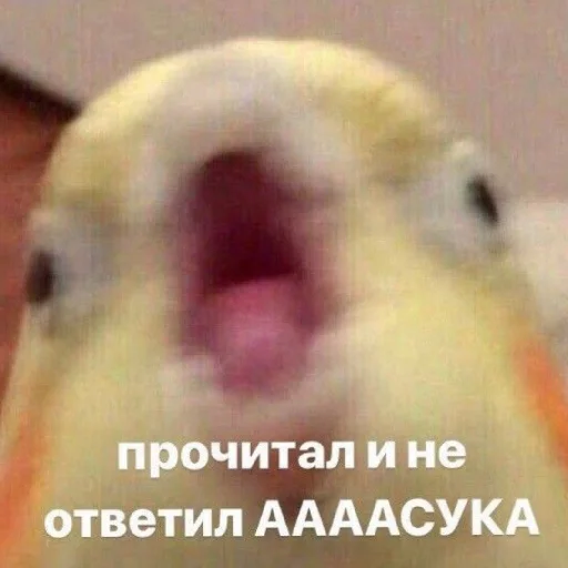 😭 Стикер «Жизяка» для Telegram