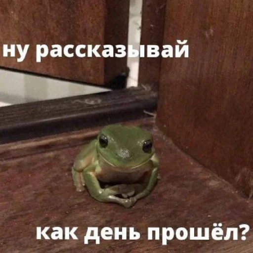 😊 Стикер «Жизяка» для Telegram