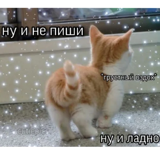 😒 Стикер «Жизяка» для Telegram