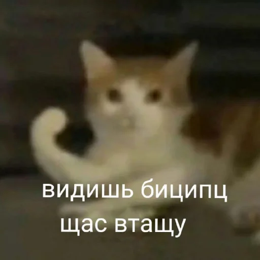 😠 Стикер «Жизяка» для Telegram