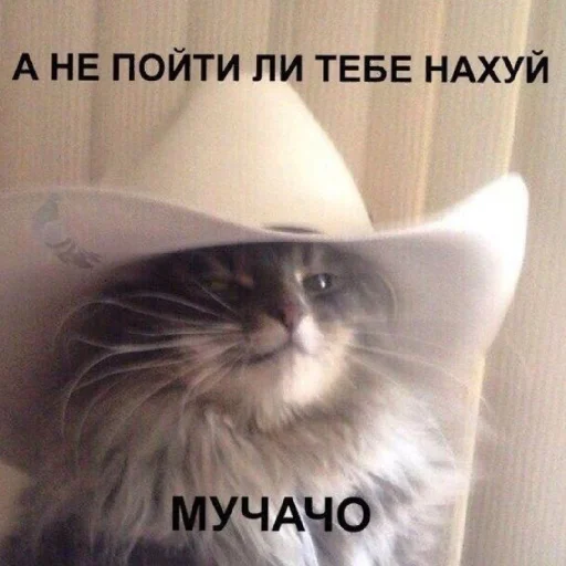 🖕 Стикер «Жизяка» для Telegram