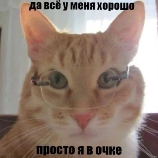 😶 Стикер «Жизяка» для Telegram
