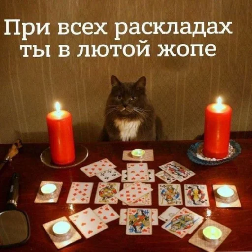 😬 Стикер «Жизяка» для Telegram