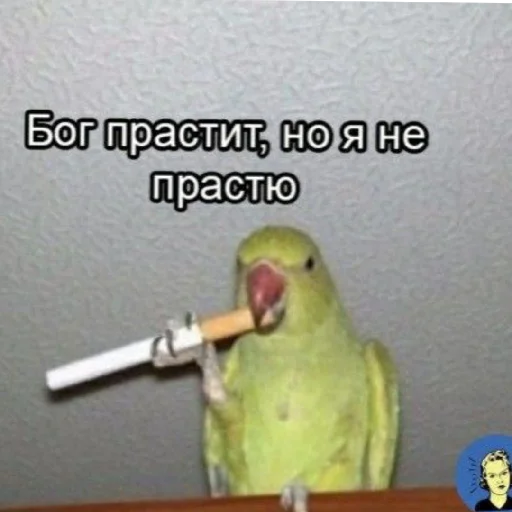 🙄 Стикер «Жизяка» для Telegram