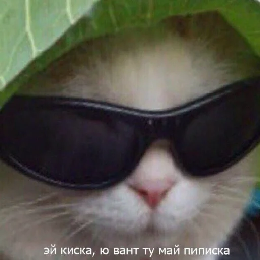 😎 Стикер «Жизяка» для Telegram