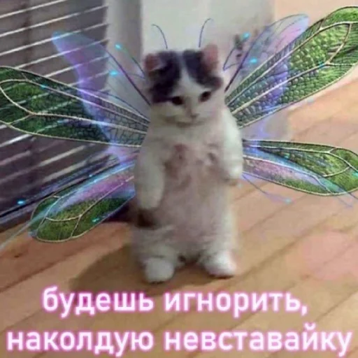 😐 Стикер «Жизяка» для Telegram