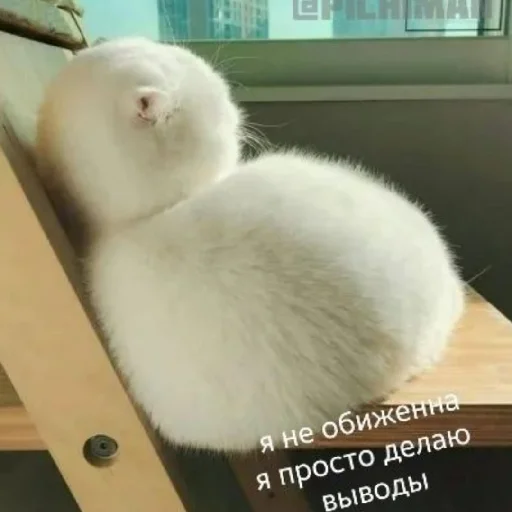 🙄 Стикер «Жизяка» для Telegram