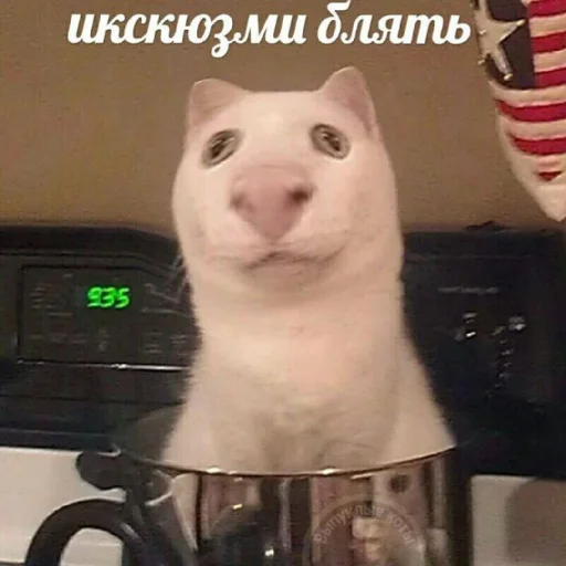 😐 Стикер «Жизяка» для Telegram