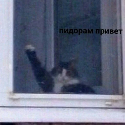 👋 Стикер «Жизяка» для Telegram