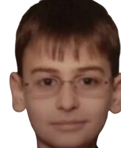 🙃 Стикер «Bushido Zho» для Telegram