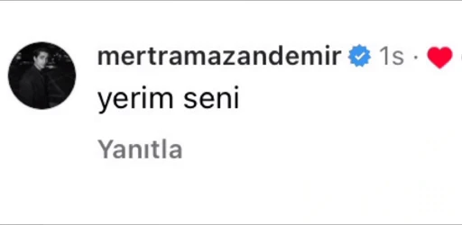 😋 Стикер «Зимородок/Yalı Çapkını» для Telegram