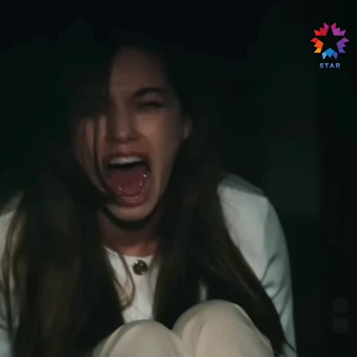 😭 Стикер «Зимородок/Yalı Çapkını» для Telegram