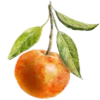 🍊 Эмодзи «Кутайся в зиму» для Telegram
