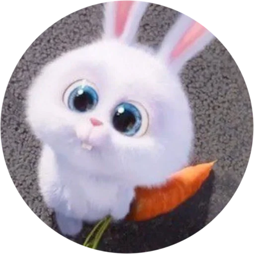 🤓 Стикер «ZLAYA ZAYA» для Telegram