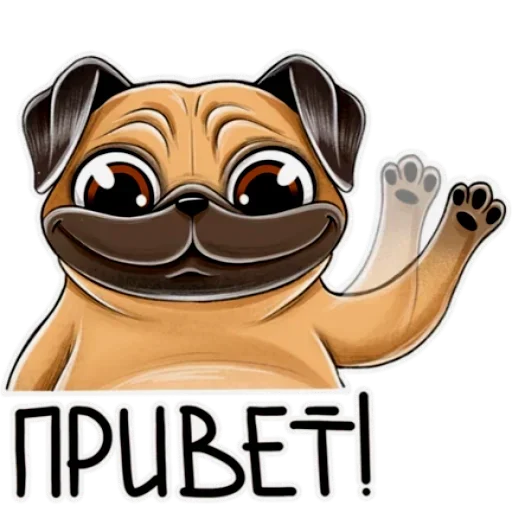 🤨 Стикер «zlobniysaboker» для Telegram