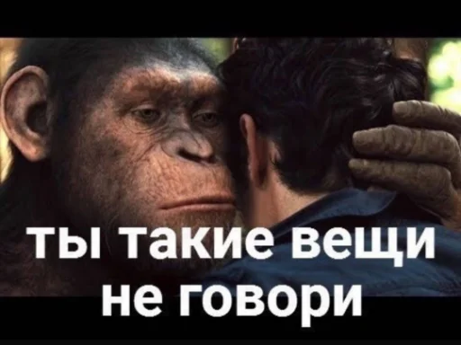 😐 Стикер «Zloi» для Telegram