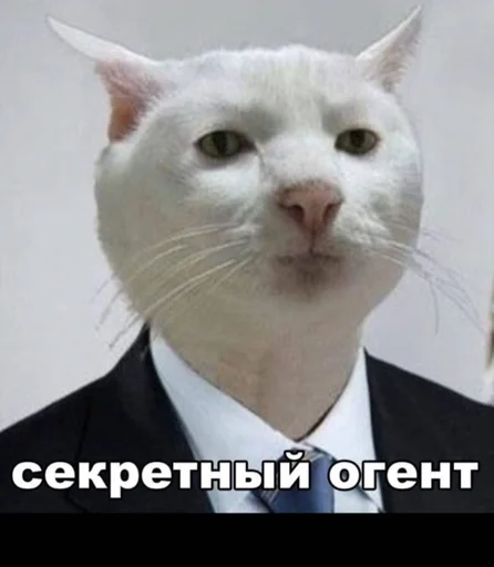 😎 Стикер «Zloi» для Telegram