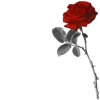 Стикер 24 Blood #color #red #black #style