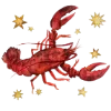 ♋ Эмодзи «zodiac signs» для Telegram