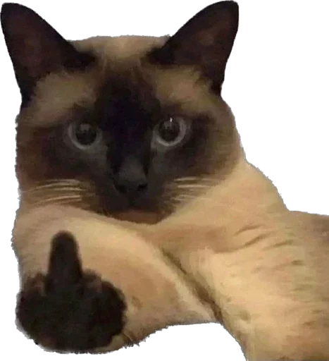 🖕 Стикер «Zoo» для Telegram