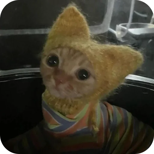 🥺 Стикер «Zoo» для Telegram