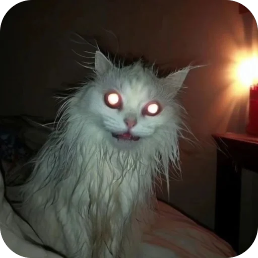 🫥 Стикер «Zoo» для Telegram