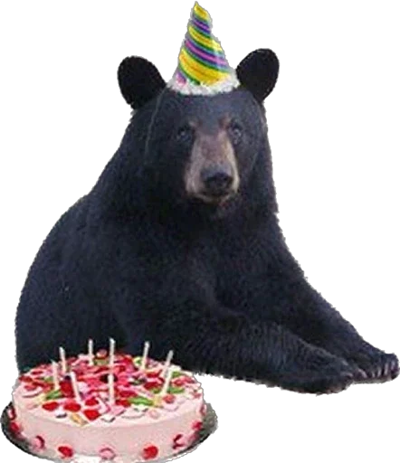 🎂 Стикер «Zoo» для Telegram