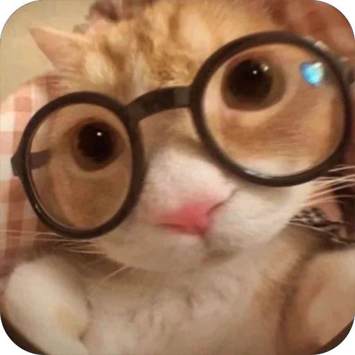 🤓 Стикер «Zoo» для Telegram