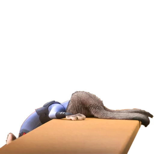 😱 Стикер «Zootopia» для Telegram