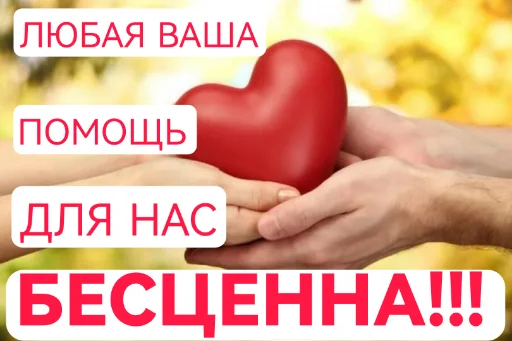 🤗 Стикер «??????ZOV??????» для Telegram