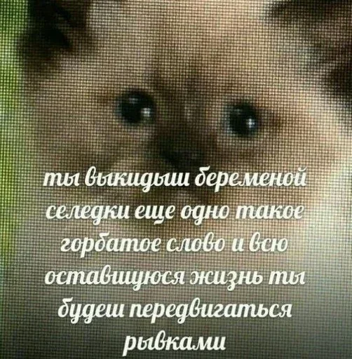 🤬 Стикер «дизмилейт» для Telegram