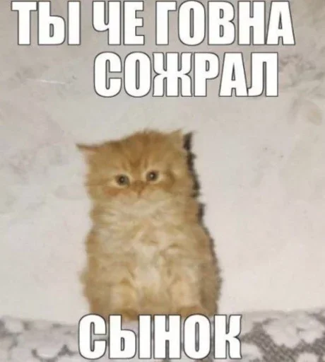 😎 Стикер «дизмилейт» для Telegram