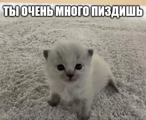 🤬 Стикер «дизмилейт» для Telegram