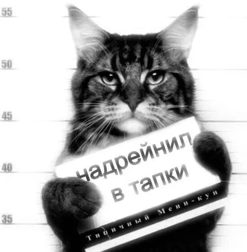 😎 Стикер «дизмилейт» для Telegram