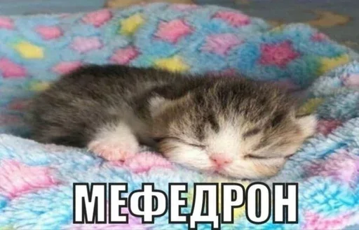 😼 Стикер «дизмилейт» для Telegram