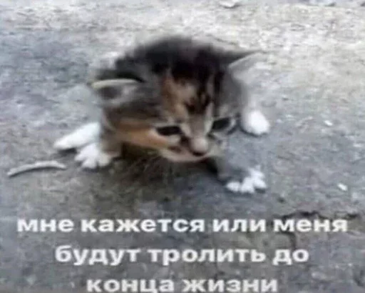 😢 Стикер «дизмилейт» для Telegram
