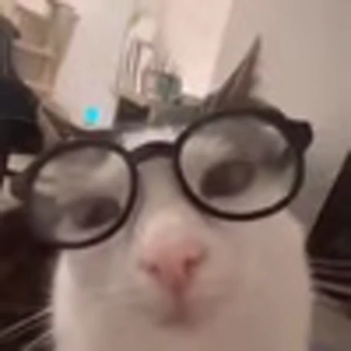 🤓 Эмодзи «zroz» для Telegram