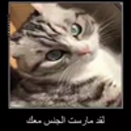 😶 Эмодзи «zroz» для Telegram
