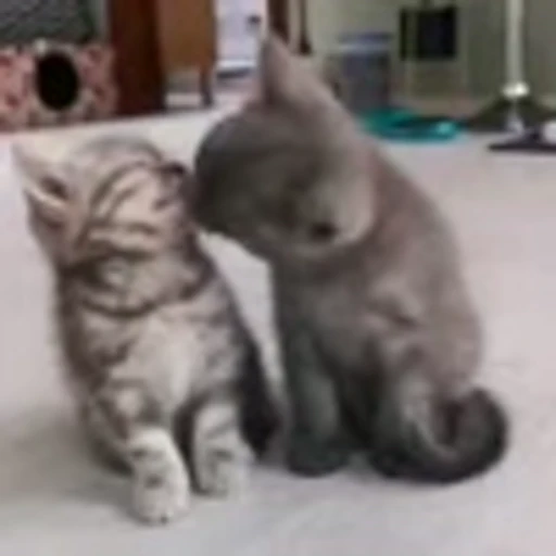 😚 Эмодзи «zroz» для Telegram