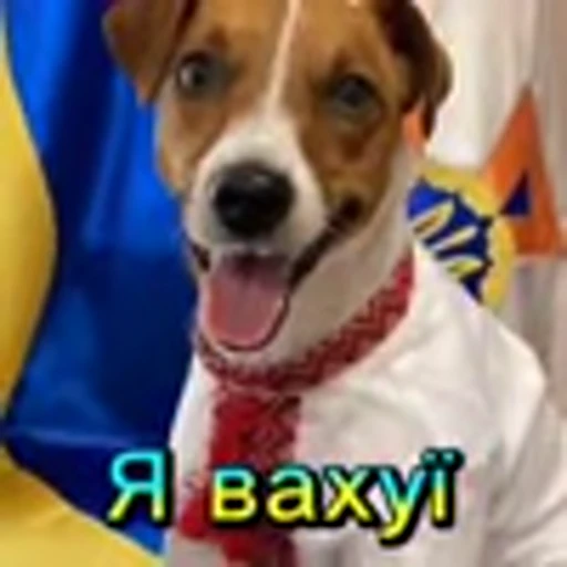 🐶 Эмодзи «zroz» для Telegram
