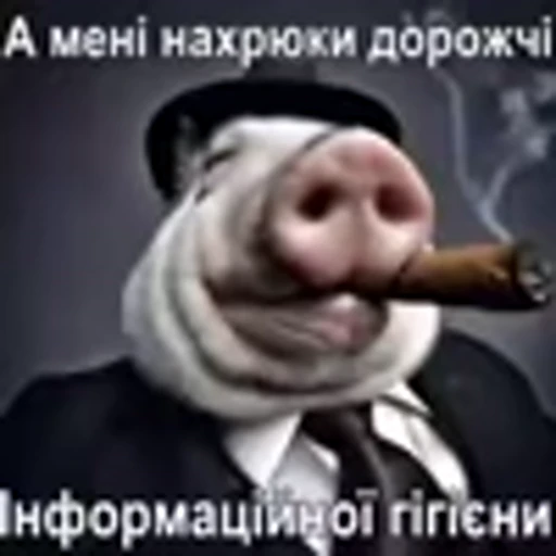 🐽 Эмодзи «zroz» для Telegram